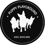 puppyplaygroundsydney