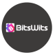 bitswits