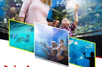 Dubai Aquarium and Underwater Zoo